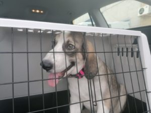 22722e14-2787-41bb-8431-a517a1b9b6d0