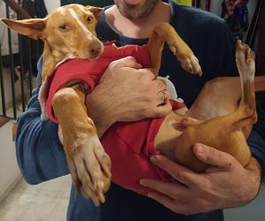 Angelito6_Ausschnitt